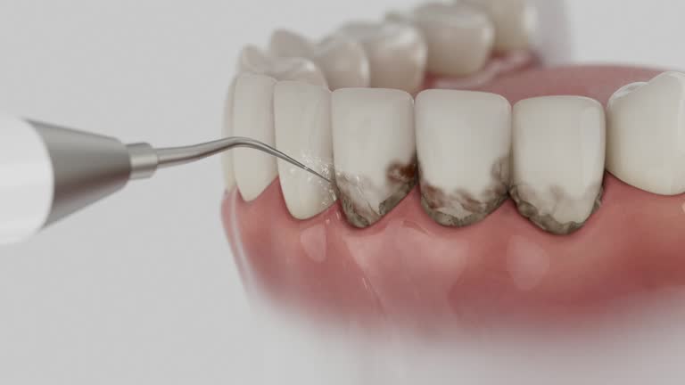Reliable Dental contractor in New Lebanon, OH by Dentist Open Now